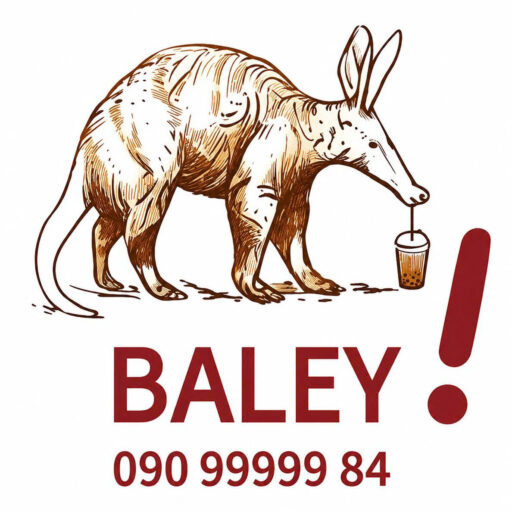 Logo Baley